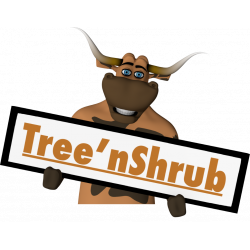 Tree N Shrub
