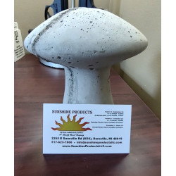 Concrete Small Mushroom