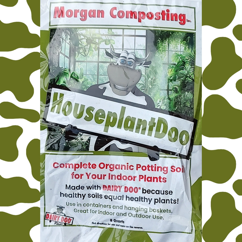 HousePlantDoo - 8 Qt