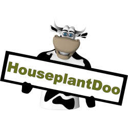 HousePlantDoo - 8 Qt