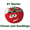 Smokin' Tomatoes 1 - 2 Yd Super Sack