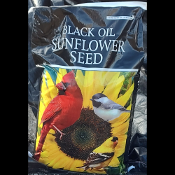 Black Oil Sunflower Bird Seed